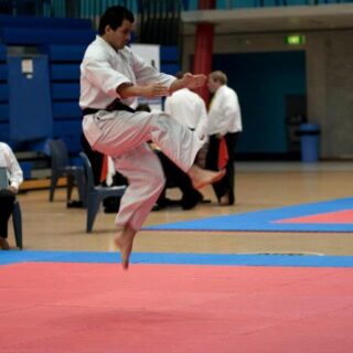 NZMAC – March 2012