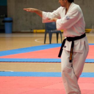 NZMAC – March 2012